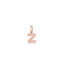 Charm Lock Your Love lettera Z