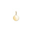 Charm Pendant Disc