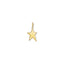 Charm Pendant Golden Star