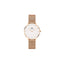 Daniel Wellington DW00100163