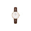 Daniel Wellington DW00100227
