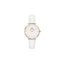 Daniel Wellington DW00100249